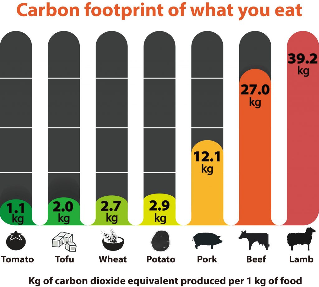 The carbon footprint of food