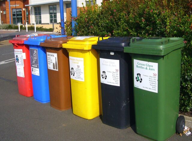 What goes in the recycling bin?